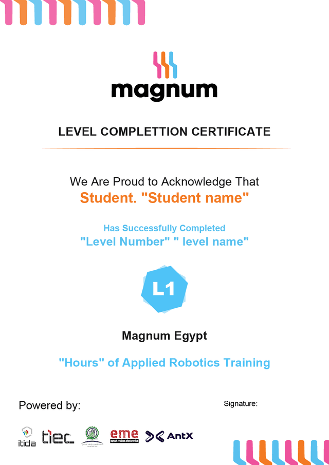 Level Completion Certificate